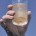 Si estás sediento y te ofrecen un vaso con agua turbia, café o verdosa, seguro que no la tomarías argumentando que está sucia, contaminada o es de mala calidad, y […]