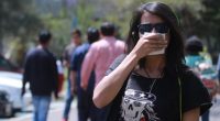Dos de los 63 géneros de hongos alérgenos determinados y registrados presentes en la atmósfera de la Ciudad de México (CDMX) están vinculados a padecimientos como el asma, sin embargo, […]