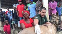 Un equipo de veterinarios mexicanos de Humane Society International (HSI), organización enfocada en el bienestar animal, estuvo durante una semana en Haití brindando rescate animal y tratamiento de emergencia tras […]