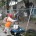 POR: Irma Eslava Brigadas de la Dirección de Servicios Públicos acuden cada viernes a diferentes comunidades del municipio de Huixquilucan a realizar labores de limpueza,　 además de poda de árboles […]