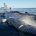 La Procuraduría Federal de Protección al Ambiente (PROFEPA) y la Secretaria de Marina (SEMAR) atendieron el varamiento de un ejemplar de Ballena Rorcual Tropical localizado muerto dentro del Área de […]