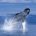 En el marco del Día Mundial de las Ballenas y los Delfines a celebrarse este 23 de julio, Junghanns, empresa líder en Agua de Mesa, en alianza con la asociación Ecología y […]