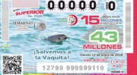 La Secretaría de Medio Ambiente y Recursos Naturales (SEMARNAT) y la Lotería Nacional acordaron dedicar el sorteo superior No. 2536 a la vaquita marina, especie de mamífero marino endémica del […]