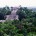 Se dio a conocer que Calakmul, considerada el segundo pulmón natural más grande del continente y la mayor reserva mexicana de selva tropical en conservación con más de 723,000 hectáreas, […]