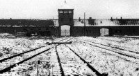 En el marco del 70 aniversario de la liberación del Campo de Concentración de Auschwitz, las autoridades alemanas dieron a conocer que abrirán un proceso por presuntos crímenes nazis a […]