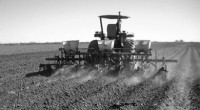 Monsanto sumó otras mil hectáreas más para la siembra de maíz transgénico, al obtener tres permisos de siembras experimentales de este cereal, en Tamaulipas, convertida en una de las entidades […]