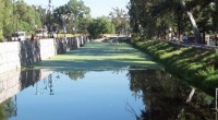 Organizaciones ciudadanas del sureste de la Ciudad de México (CDMX) sostuvieron una jornada de conservación a lo largo del Canal Nacional, en las inmediaciones de la delegación de Xochimilco, en […]