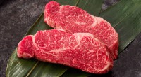 La carne Kobe anda muy sonada, es lo más fino de todas las carnes, el mejor corte que uno se pueda imaginar. Tiene un sabor único, es suave, jugosa, la […]