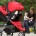 La empresa Britax, enfocada en productos de transporte para bebes y pequeños (carriolas, sillas en automóviles, etc.), señaló que para este Buen Fin es esencial siempre pensar en la familia […]