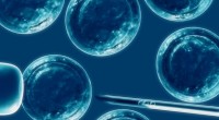 Las células madre embrionarias son la principal apuesta para la futura medicina regenerativa ya que, según ha asegurado el director del Programa de Oncología Molecular del Centro Nacional de Investigaciones […]