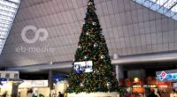La agencia de autotransporte EB Media y Paramount Pictures México, lleva la celebración de la temporada navideña a la Central del Norte de la Ciudad de México con un árbol […]