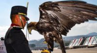 El futuro del águila real está en las mejores manos”, aseguró el Secretario de Medio Ambiente y Recursos Naturales, Rafael Pacchiano Alamán, luego de que el Presidente de la República, […]