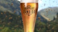 El restaurante mexicano con cervecería, Beer Factory, y Cervecería “La Brü”, han creado “Zumbido”, una cerveza hecha con la miel de la abeja Scaptotrigona o «Pisilnekmej» en náhuatl, que se […]