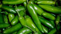 La producción de chile verde “Hecho en México” aumentó 42.4 por ciento entre 2013 y 2016, derivado de una mayor tecnificación y productividad del campo, estrategias impulsadas por el Gobierno […]