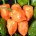 La empresa Amar Hidroponia, dio a conocer que se puede hacer negocio vendiendo chiles, e informó que las franquicias de chile habanero hidropónico tienen 7 razones por las que este […]