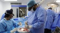 El ISSSTE activó el Programa de Trasplante Pediátrico de Hígado y Riñón en el Centro Médico Nacional “20 de Noviembre” mediante el cual, cinco niños fueron rescatados de morir y ahora gozan […]