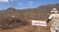 Se dio a conocer que la Procuraduría Federal de Protección al Ambiente (PROFEPA)  clausuró de manera total temporal el predio “El Guayabo”, ubicado en Piscila, Colima, por la remoción de vegetación […]