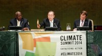 La importante Cumbre Climática de Nueva York, el penúltimo paso que no resultó serio y fructífero hacia la Convención Marco de las Naciones Unidas sobre el Cambio Climático de París […]
