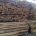 La Procuraduría Federal de Protección al Ambiente (PROFEPA) aseguró 275 metros cúbicos de madera en un aserradero clandestino en el municipio de Ecatepec, Estado de México, misma que se presume […]