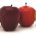 En el mercado hay una gran variedad de tipos de manzanas, con diferentes usos y características. De las cuales solo conocemos su nombre coloquial o englobamos a rojas, amarillas, verdes, […]
