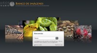   La Comisión Nacional para el Conocimiento y Uso de la Biodiversidad (Conabio) puso a disposición del público un banco de imágenes de la flora y fauna nacional que suman […]