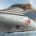El buque inicial de Virgin Voyages, cuya entrega está prevista para 2020, será el primero de una flota de tres innovadores barcos diseñados y construidos bajo la premisa de la […]