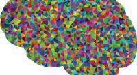 La presencia de ciertas sustancias en el cerebro podría ser una advertencia clave para la detección temprana de la enfermedad de Alzheimer, de acuerdo con investigadores del Houston Methodist Hospital. […]