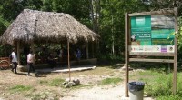 La Comisión Nacional de Áreas Naturales Protegidas (CONANP) organismo del gobierno mexicano presentó su estudio “Las Áreas Naturales Protegidas como Motor del Turismo en México”, a través de Lucía Ruiz […]