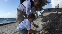Por cuarta ocasión diversas organizaciones como Delphinus en colaboración con OceanConservancy Quintana Roo, la SEMARNAT, los hoteles El Cid, Azul Sensatori, Azul Beach, Amigos de Isla Contoy AC, el Comité […]