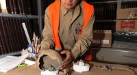 Con el hallazgo de los restos de un individuo de sexo femenino, “Dalia”, suman cuatro los entierros prehispánicos localizados por especialistas de la Dirección de Salvamento Arqueológico, del Instituto Nacional […]