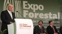 Guadalajara, Jalisco.- El déficit en producto forestal es de alrededor de 6 mil millones de dólares, “estamos importando productos forestales de muchas partes del mundo, se han llevado el germoplasma […]