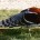 Faisán de Elliot Syrmaticus ellioti Orden: Galliformes Familia: Phasianidae El faisan de Elliot es una de las aves más robustas pero asustadizas de su género, teniendo la capacidad de volar […]