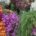 La Secretaría de Agricultura y Desarrollo Rural federal informó que el abasto nacional de flores ornamentales se encuentra garantizado para los festejos del Día de las Madres, pues en 2023 […]