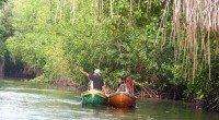 Tapachula, Chis.- Los manglares es un ecosistema vital no sólo en las costas, sino de la biodiversidad en general, situación por la cual es imperante su protección, situación que ha […]