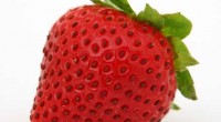 La fresa (Fragaria vesca) es una fruta de sabor suave y aromático, demás de sana y digestiva, contiene una vitamina antiescorbútica. Es uy til para purificar los intestinos y mitigar […]