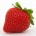 La fresa (Fragaria vesca) es una fruta de sabor suave y aromático, demás de sana y digestiva, contiene una vitamina antiescorbútica. Es uy til para purificar los intestinos y mitigar […]