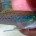Conocido en México como guayacón yucateco y en inglés como mosquito fish (pez mosquito), la Gambusia yucatana es un pez que se distribuye ampliamente en la península de Yucatán, por […]