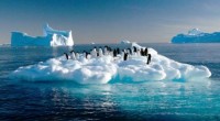 La preocupación de la comunidad científica en el mundo cada vez aumenta más, pues al desaparecer el hielo en la zona de los casquetes polares muchos países se sumarían al […]