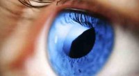 De acuerdo a la Universidad Nacional Autónoma de México (UNAM), unos cinco millones de mexicanos mayores de 40 años sufren de glaucoma y 70% de ellos desconoce que lo padece, […]