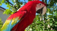 Se dio a conocer que Aluxes Ecoparque Palenque, Chiapas se ha convertido en uno de los atractivos turísticos más visitados por quienes gustan de conocer estos rincones de la selva […]