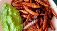 El consumo de insectos dentro de la dieta alimentaria mexicana constituye una actividad milenaria, sin embargo, en los últimos años se registra una recolección desmedida de insectos comestibles para su […]