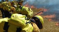 Se dio a conocer que de los 58 técnicos y combatientes de la Comisión Nacional Forestal (CONAFOR), enviados para prestar ayuda a Chile, participaron en el control de seis incendios […]