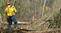 De acuerdo al Centro Nacional de Control de incendios Forestales (CENCIF) de la Comisión Nacional Forestal (Conafor) de los 25 incendios activos en el territorio nacional, se ubican en diez […]