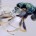 Ndahita de Dios Ávila, estudiante de maestría de ciencias biológico agropecuarias en la Universidad Autónoma de Nayarit (UAN), investiga cuatro nuevos registros de insectos parasitoides que podrían aplicarse al control […]