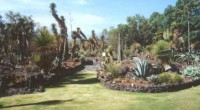 En México existen 40 jardines botánicos en donde se resguardan, en promedio, un tercio de las especies vegetales en peligro de extinción –más de 300 de las 985 plantas incluidas […]