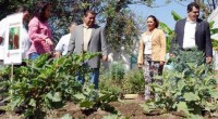 El Jardín Ombligo ubica en Guadalajara, Jalisco se ha vuelto un espacio ambiental y del conocimiento de su juventud y niñez ello enfocado en saber sobre diversos aspectos de la […]