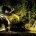 El jardín escultórico Las Pozas, ubicado en Xilitla, San Luis Potosí, creado por Edward James, poeta y artista inglés, gran benefactor del movimiento surrealista, está recibiendo diversos apoyos para su […]