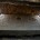 Arqueólogos del Instituto Nacional de Antropología e Historia (INAH) descubrieron una lápida funeraria de la primera mitad del siglo XVI, la cual podría formar parte de la tumba de Miguel […]