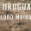 En el libro La Uruguaya, publicado en el sello Emecé, se caracteriza por ser una novela que replantea las nuevas formas de relacionarse entre ambos sexos. Su autor el argentino […]