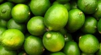 México ocupa el primer lugar mundial como productor y exportador de limas y limones, además de ser el cuarto productor mundial de toronja y el quinto de naranja, lo que […]